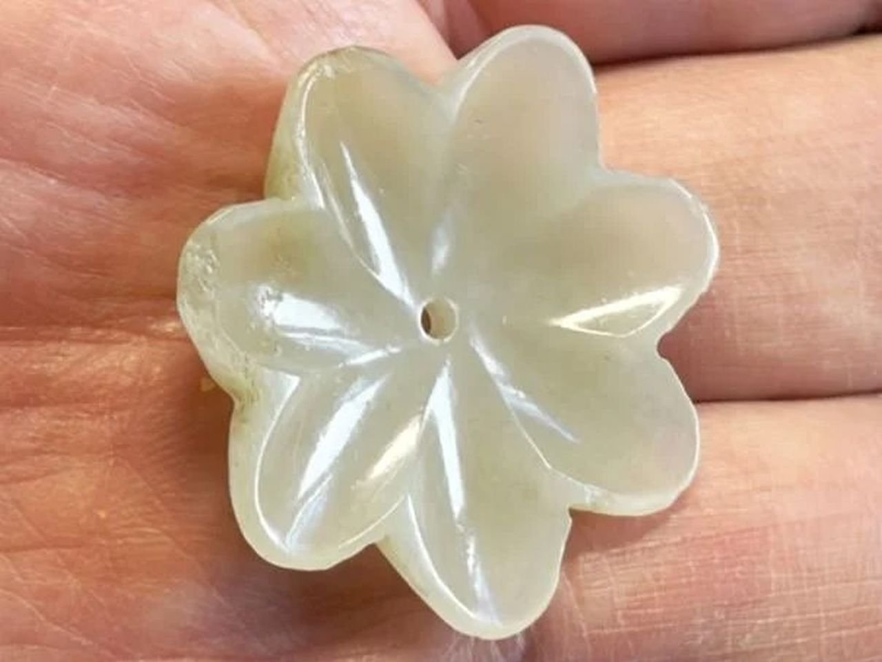 Flower 655 - (3969)